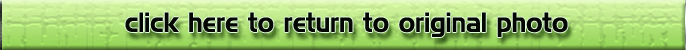  returns to Los Lagos Main Page